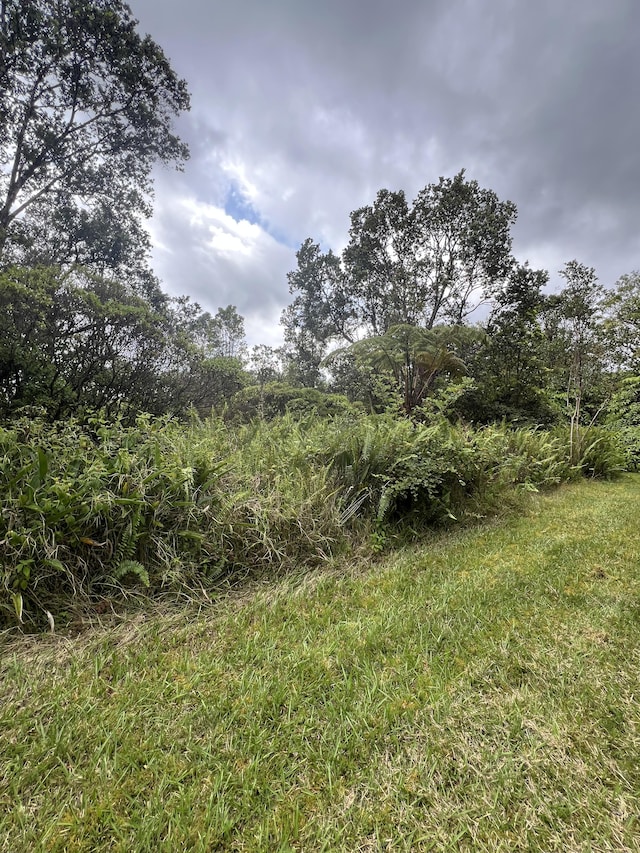 Kolea St, Mountain View, HI 96771