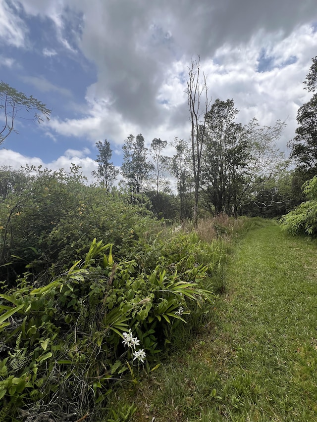 Kolea St, Mountain View, HI 96771