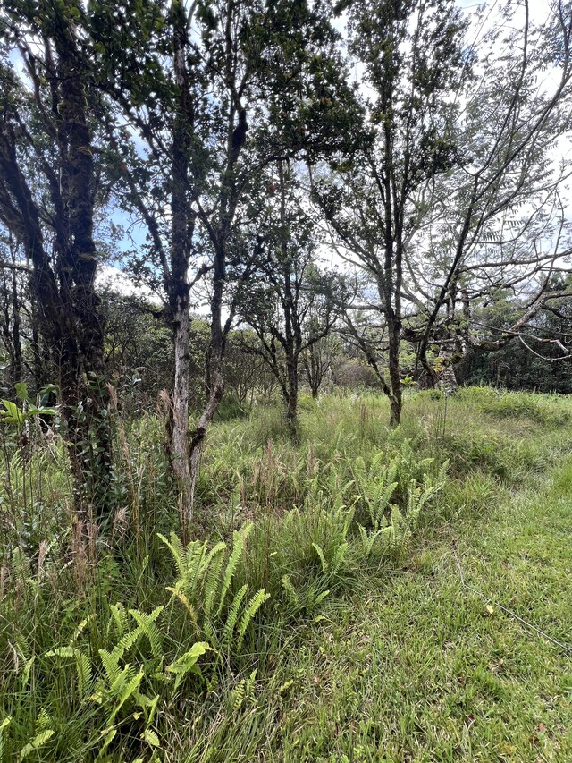 Kolea St, Mountain View, HI 96771