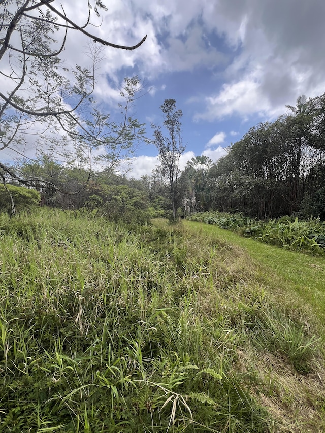 Kolea St, Mountain View, HI 96771