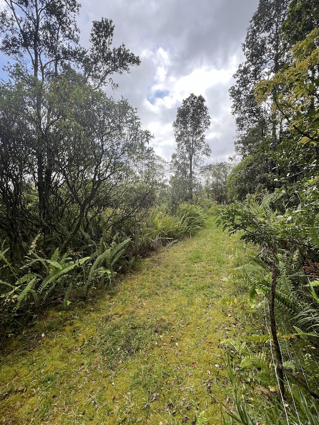 Kolea St, Mountain View, HI 96771