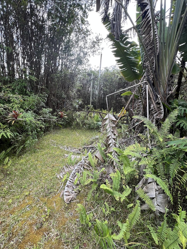 Kolea St, Mountain View, HI 96771