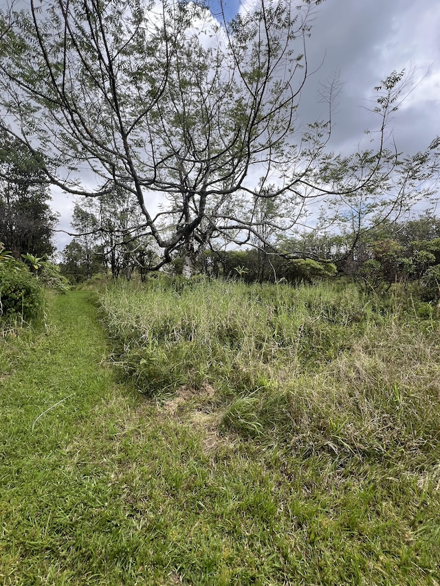 Kolea St, Mountain View, HI 96771