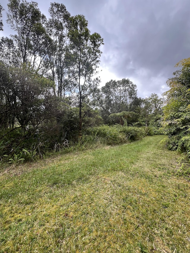 Kolea St, Mountain View, HI 96771