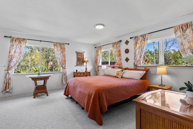 11-2846 Alii Kane St, Volcano, HI 96785 - photo 13