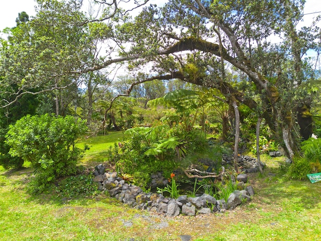 11-2846 Alii Kane St, Volcano, HI 96785 - photo 3