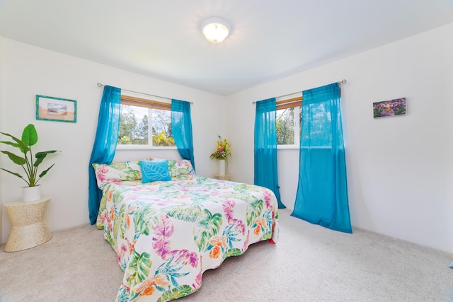 11-2846 Alii Kane St, Volcano, HI 96785 - photo 15