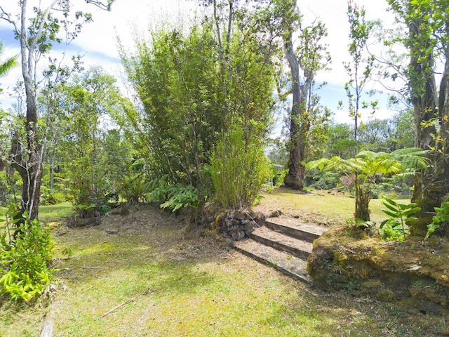 11-2846 Alii Kane St, Volcano, HI 96785 - photo 17