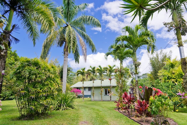 15-2021 11th Ave, Keaau, HI 96749 - view of green lawn