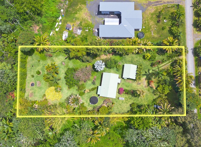 15-2021 11th Ave, Keaau, HI 96749 - aerial overview of property's location with property boundaries highlighted