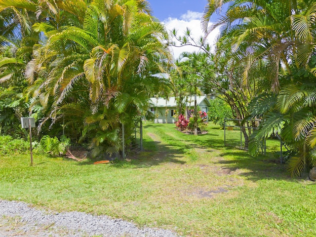 15-2021 11th Ave, Keaau, HI 96749 - view of grassy yard