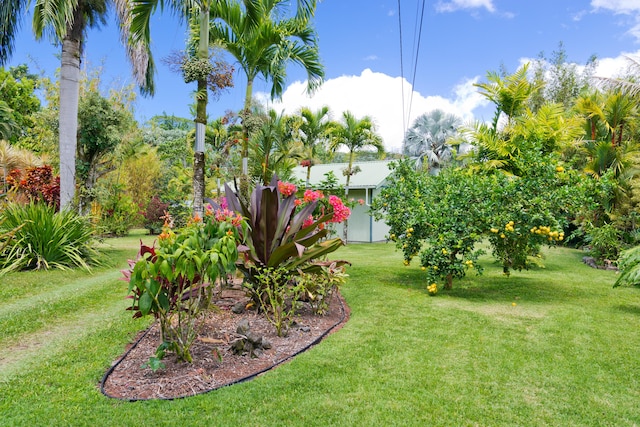 15-2021 11th Ave, Keaau, HI 96749 - view of grassy yard