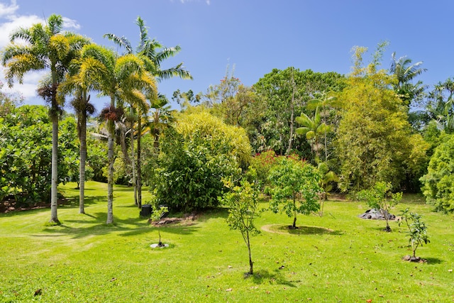 15-2021 11th Ave, Keaau, HI 96749 - surrounding community with a lawn