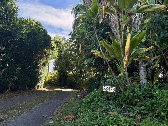 54-3847-B Akoni Pule Hwy, Kapaau, HI 96755 - photo 16
