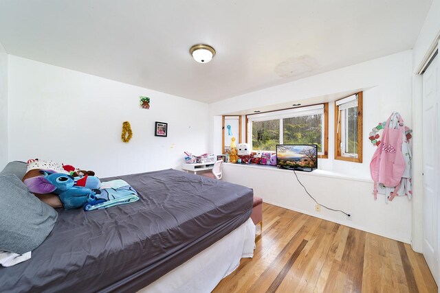 18-2440 Glenwood Rd, Mountain View, HI 96771 - photo 18