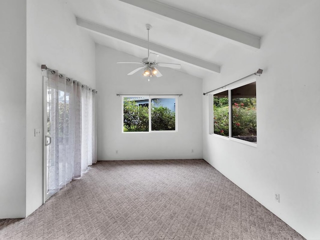 907 Mala Pua Way, Hilo, HI 96720 - empty room with carpet floors and ceiling fan