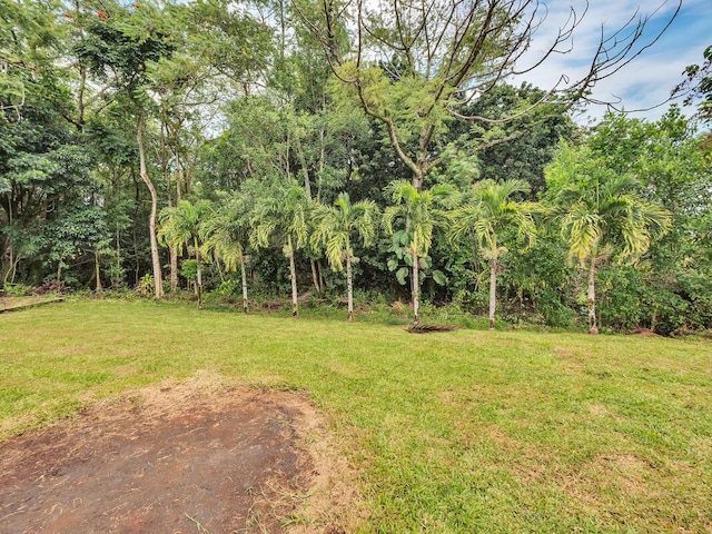 907 Mala Pua Way, Hilo, HI 96720 - view of grassy yard
