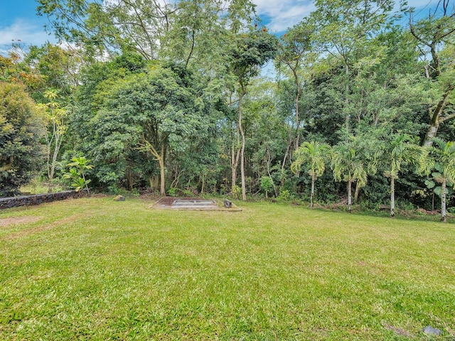 907 Mala Pua Way, Hilo, HI 96720 - view of grassy yard