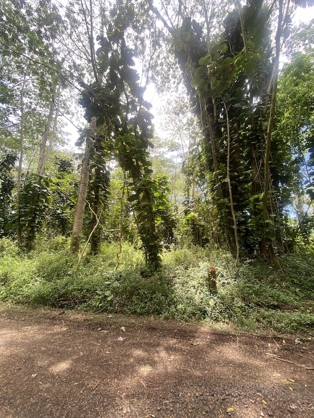 Hilo Rd, Pahoa, HI 96778