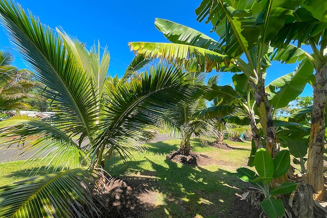 Mapuana Ave, Pahoa, HI 96778