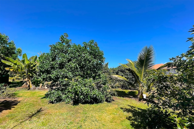 Mapuana Ave, Pahoa, HI 96778