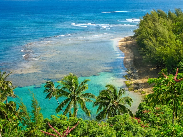 7312 Alealea Rd, Hanalei, HI 96722 - water view featuring local beach