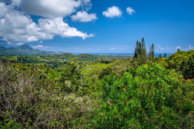 4282 Kalaheo Dr, Kalaheo, HI 96741 - view of mountain backdrop featuring a forest