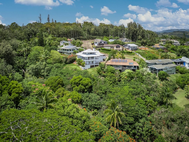4282 Kalaheo Dr, Kalaheo, HI 96741 - aerial view of a forest