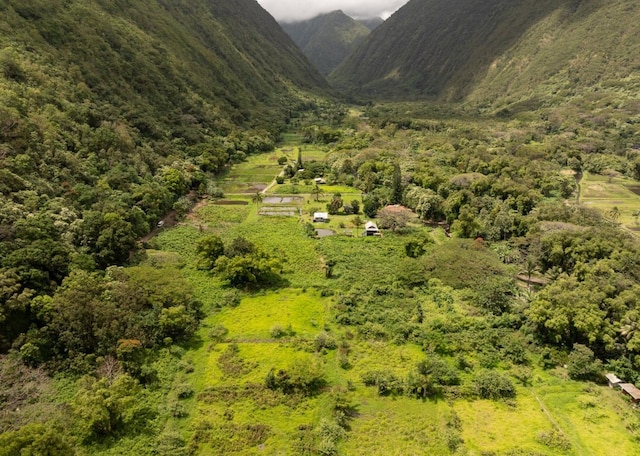 Waipio Valley Rd, Honokaa, HI 96727