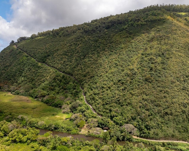 Waipio Valley Rd, Honokaa, HI 96727