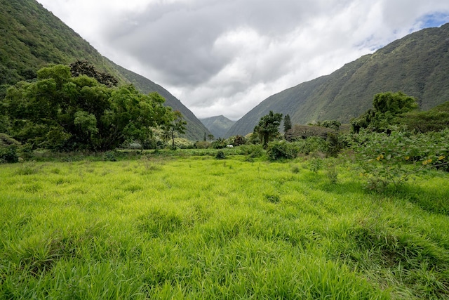 Waipio Valley Rd, Honokaa, HI 96727
