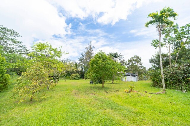 15-1893 32nd Ave, Keaau, HI 96749 - view of green lawn