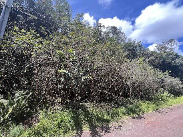 Puna St, Pahoa, HI 96778