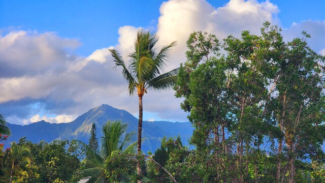 3700 Kamehameha Rd Unit G5, Princeville, HI 96722 - photo 30