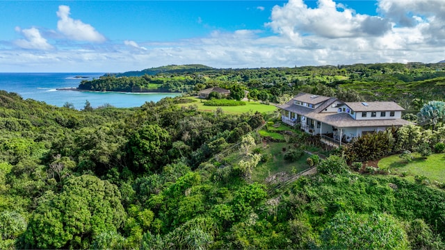 3320 Kalihiwai Rd Unit 3, Kilauea, HI 96754 - photo 24