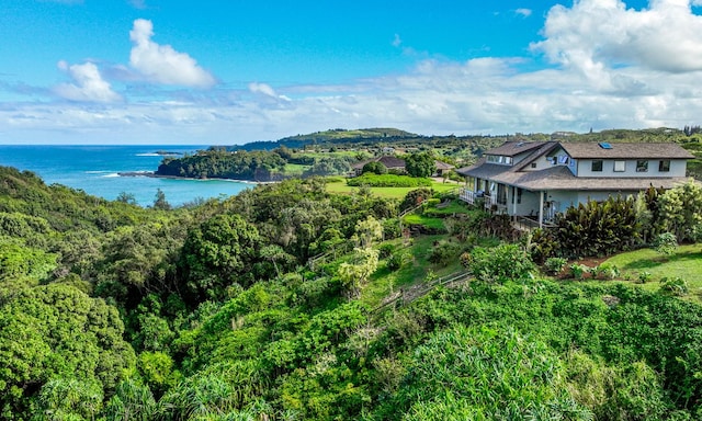 3320 Kalihiwai Rd Unit 3, Kilauea, HI 96754 - photo 23