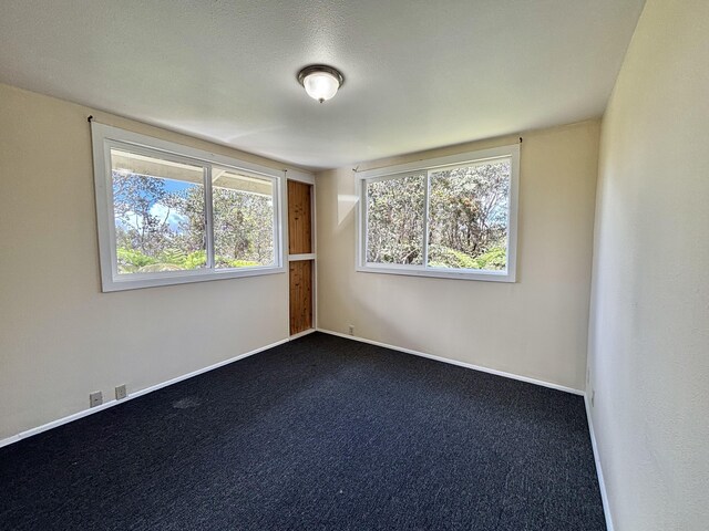 11-3791 6th St, Volcano, HI 96785 - photo 13