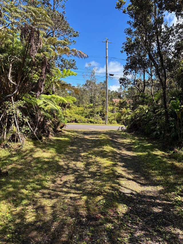 11-3791 6th St, Volcano, HI 96785 - photo 28