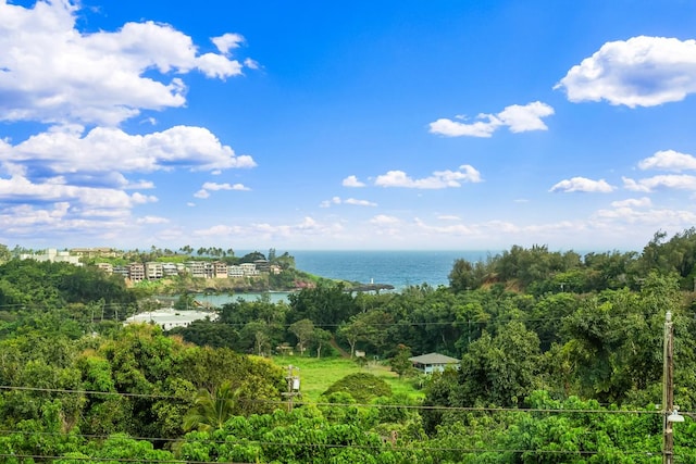 2819 Kapena St, Lihue, HI 96766 - water view