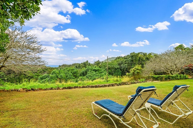 2819 Kapena St, Lihue, HI 96766 - view of green lawn