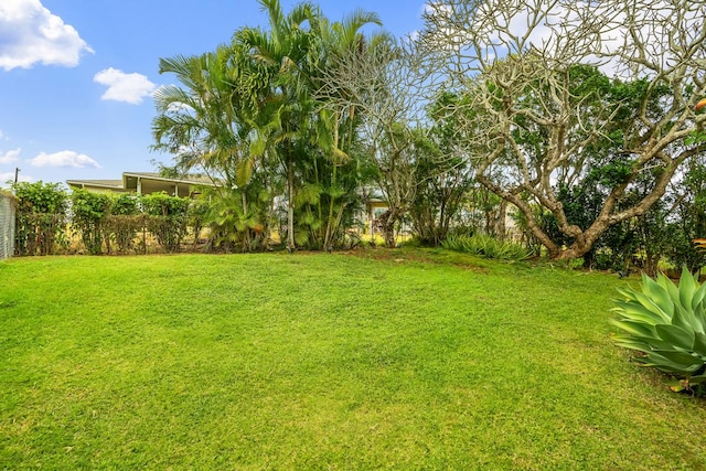 2819 Kapena St, Lihue, HI 96766 - view of grassy yard