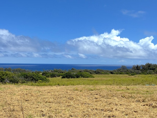 Akoni Pule Hwy, Kapaau, HI 96755 - photo 5