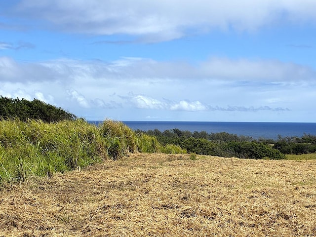 Akoni Pule Hwy, Kapaau, HI 96755 - photo 6
