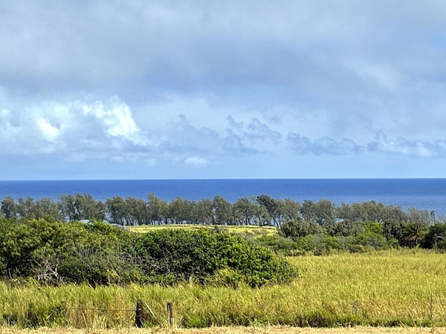 Akoni Pule Hwy, Kapaau, HI 96755 - photo 4