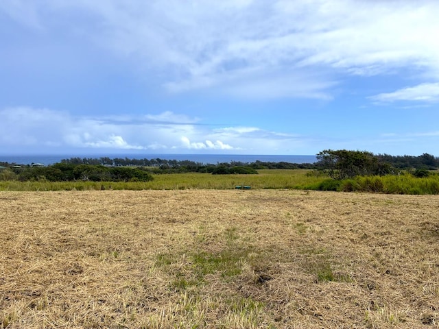 Akoni Pule Hwy, Kapaau, HI 96755 - photo 9
