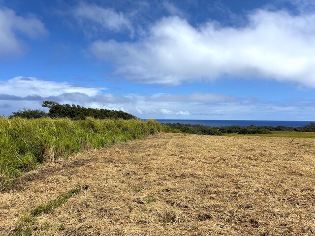 Akoni Pule Hwy, Kapaau, HI 96755 - photo 10