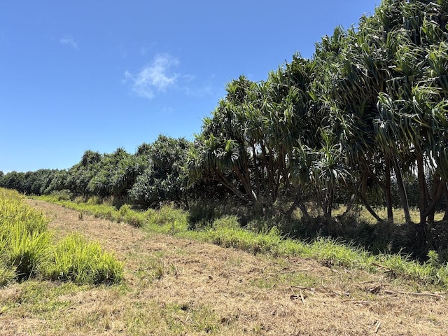Akoni Pule Hwy, Kapaau, HI 96755 - photo 12