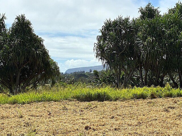 Akoni Pule Hwy, Kapaau, HI 96755 - photo 16
