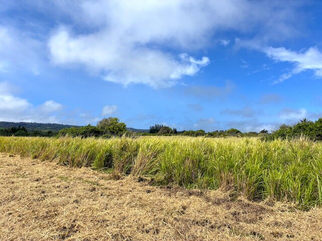 Akoni Pule Hwy, Kapaau, HI 96755 - photo 19