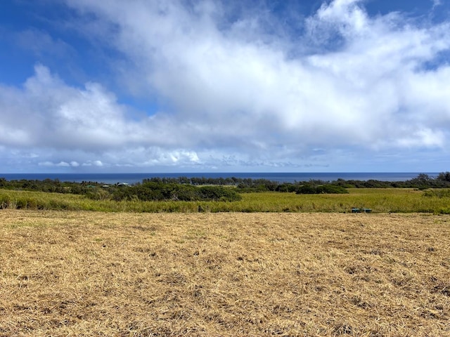 Akoni Pule Hwy, Kapaau, HI 96755 - photo 24